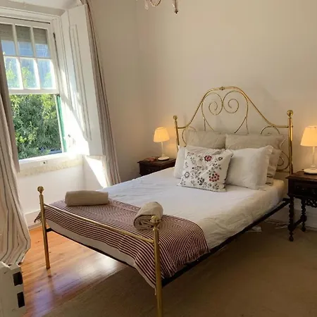 As A Local! Santos Historical Iii